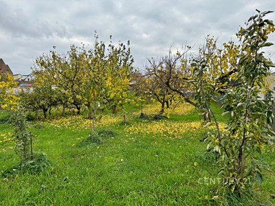 Zaječí, okres Břeclav